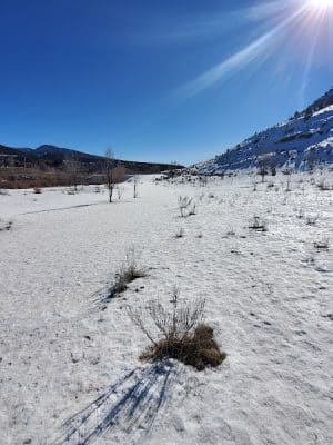 Durango Off Leash Dog Park - Durango, CO