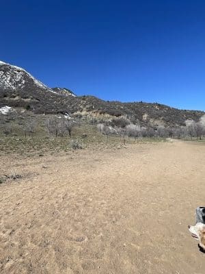Durango Off Leash Dog Park - Durango, CO
