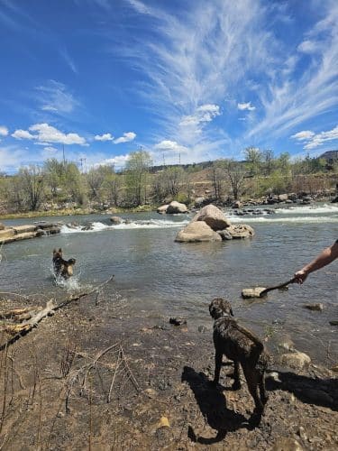 Durango Off Leash Dog Park - Durango, CO