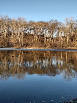 Eagan Off Leash Dog Area
