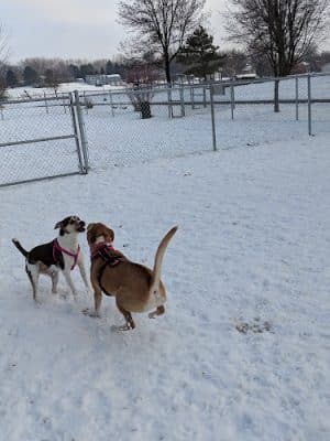 Eagle Lake Dog Park - Eagle Lake, MN