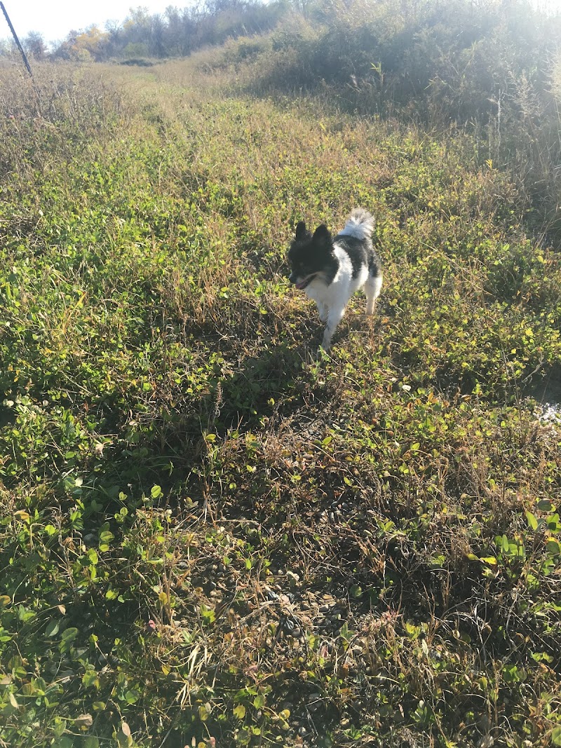 Eagle Lake Dog Park - Eagle Lake, MN