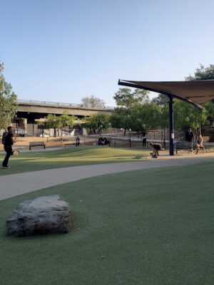 Eagle Rock Dog Park