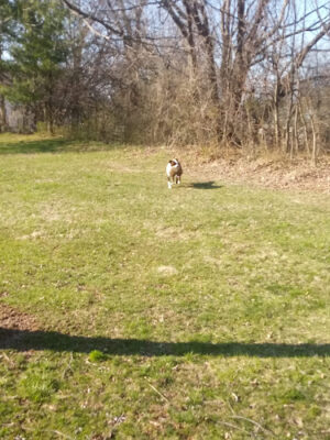 Eskie Park