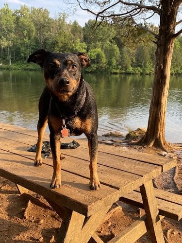 Chris Greene Lake Dog Park