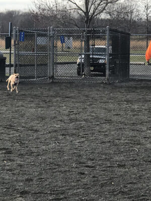 East Brunswick Dog Park