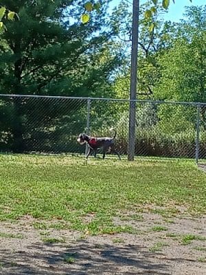 Heavenly Farms Park