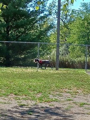 Heavenly Farms Park
