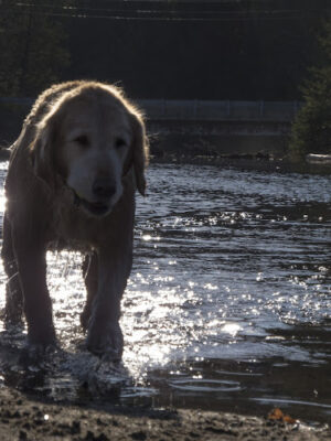 Burke Mountain