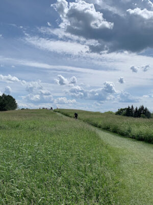 Kingdom Trails