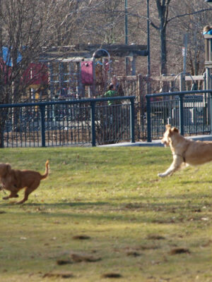 North Point Park