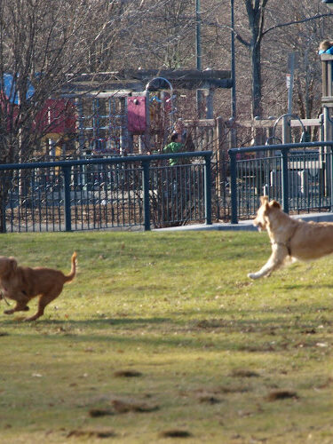 North Point Park