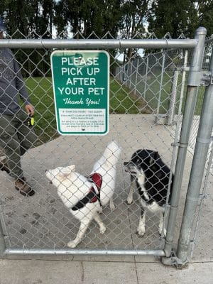 East China Dog Park