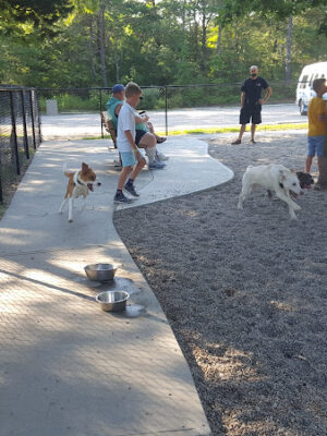 Town of Falmouth Dog Park