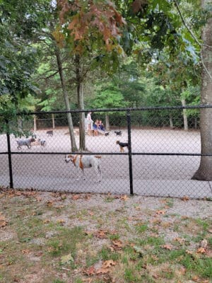 Town of Falmouth Dog Park