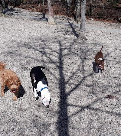 Town of Falmouth Dog Park - East Falmouth,