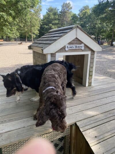 Town of Falmouth Dog Park - East Falmouth,