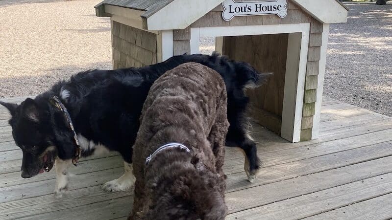 Town of Falmouth Dog Park - East Falmouth,