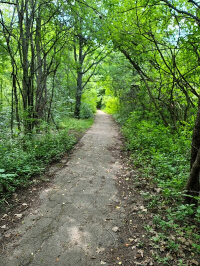 Manhattan Park - East Grand Rapids,