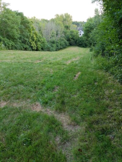 Manhattan Park - East Grand Rapids,