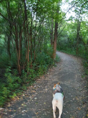 Manhattan Park