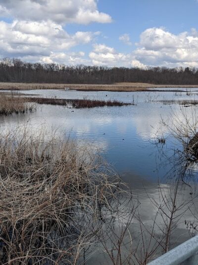 Waterfront / Gilmore Park - East Grand Rapids,