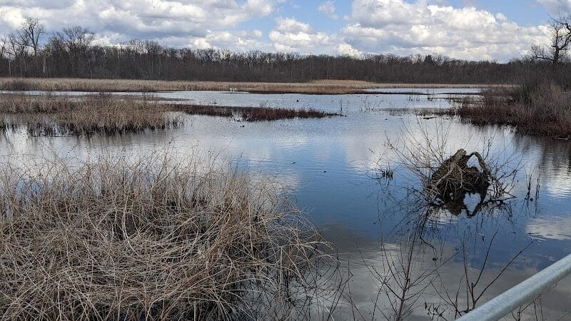 Waterfront / Gilmore Park - East Grand Rapids,