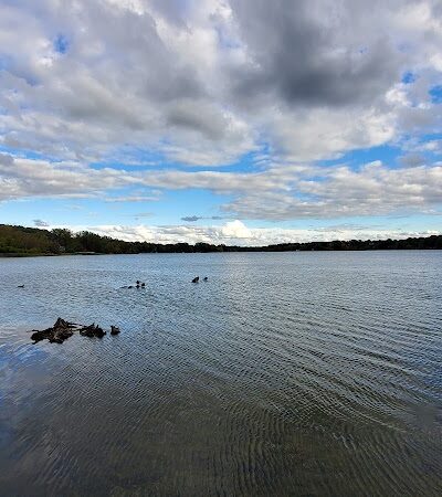Waterfront / Gilmore Park - East Grand Rapids,