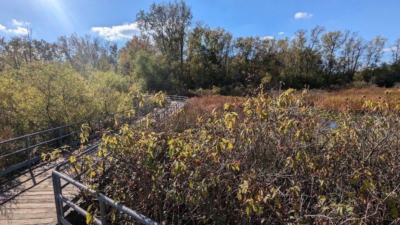 Waterfront / Gilmore Park - East Grand Rapids,