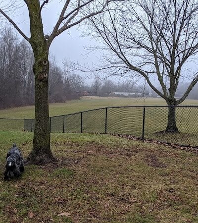 Meridian Dog Park (Small Dogs) - East Lansing, MI