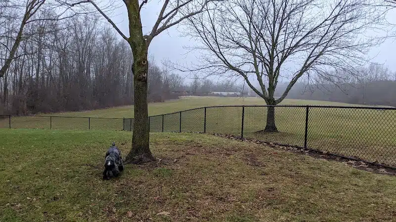 Meridian Dog Park (Small Dogs) - East Lansing, MI