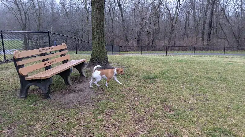 Meridian Dog Park (Small Dogs) - East Lansing, MI