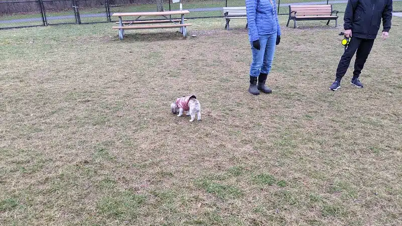 Meridian Dog Park (Small Dogs) - East Lansing, MI