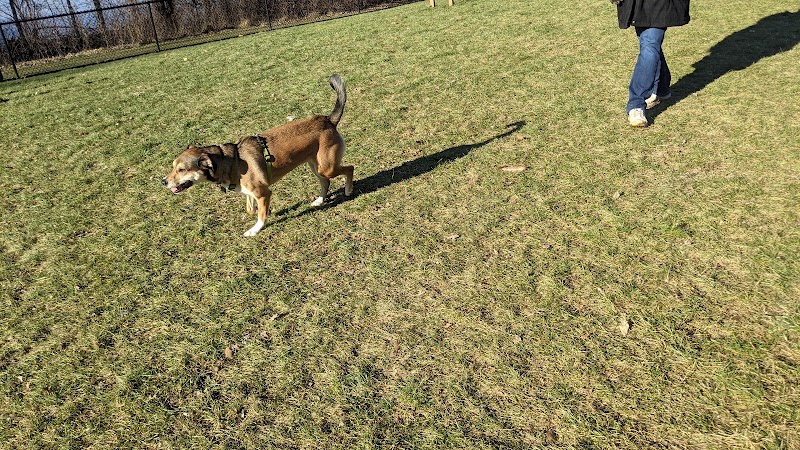 Meridian Dog Park (Small Dogs) - East Lansing, MI