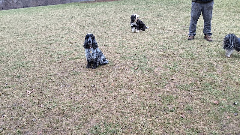 Meridian Dog Park (Small Dogs) - East Lansing, MI