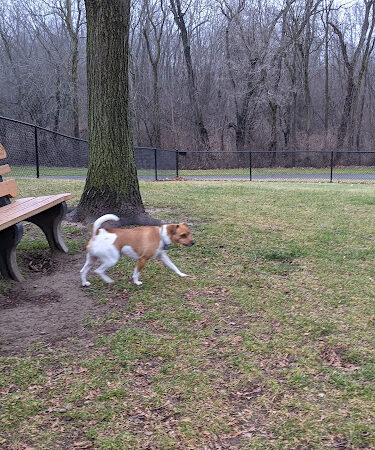 Meridian Dog Park (Small Dogs)