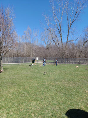 Northern Tail Dog Park