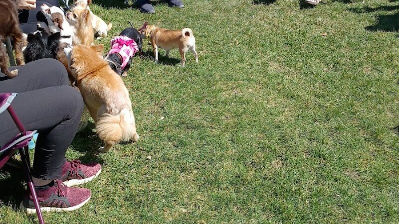 Northern Tail Dog Park - East Lansing,