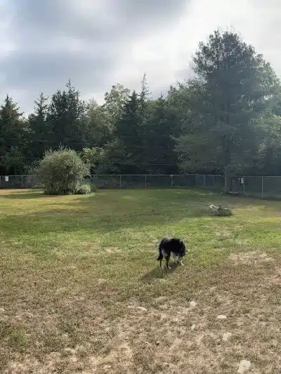 W. Leroy Lewis Dog Park - East Stroudsburg, PA