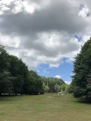 Bird Park Parking