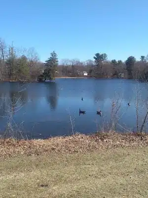 Bird Park Parking