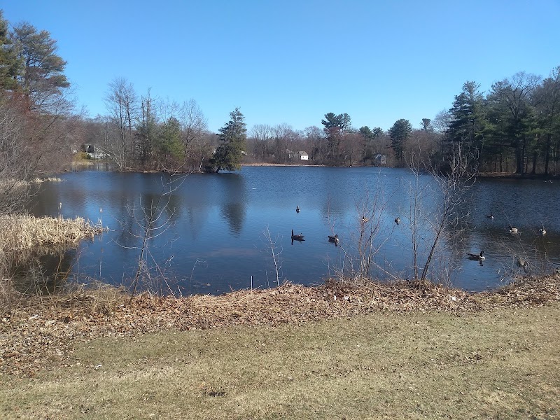 Bird Park Parking - East Walpole, MA