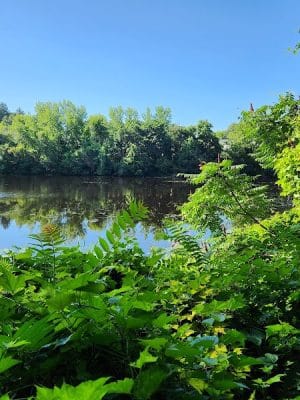 Endean Trail