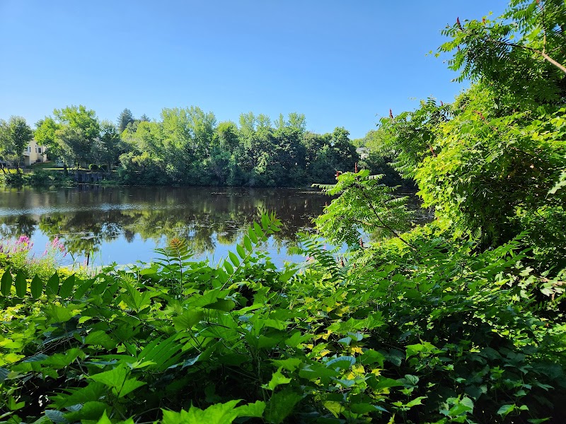 Endean Trail - East Walpole, MA