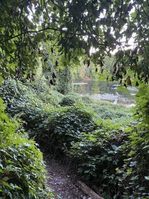 Endean Trail