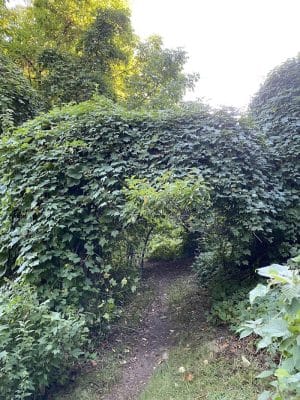 Endean Trail