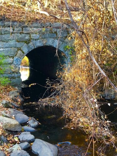 Endean Trail