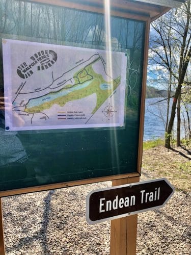Endean Trail