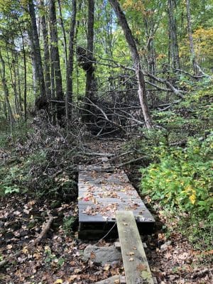 Endean Trail