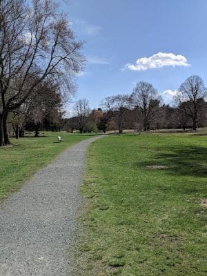 Francis William Bird Park